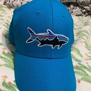 Patagonia ball cap